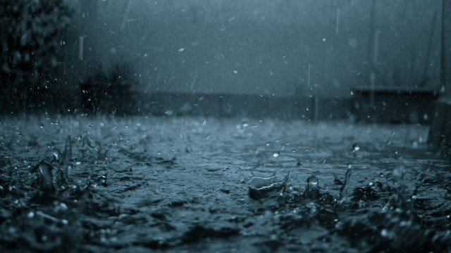 Rain soaked street bench trees free wallpaper - medium preview image