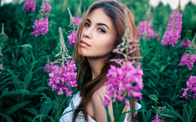 Woman purple flower field blurry #2 free wallpaper - medium preview image