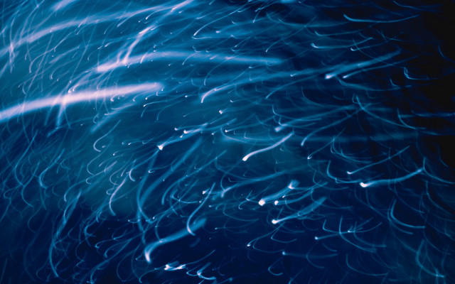 Blue background lines light shining free wallpaper - medium preview image
