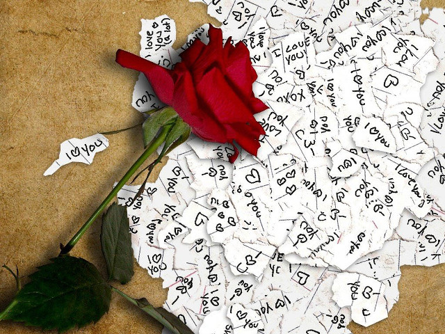 Rose letters numbers table pile free wallpaper - medium preview image