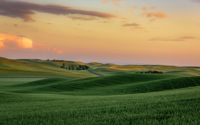 Green field sunset clouds trees free wallpaper - medium preview image
