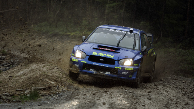 Blue car muddy forest rain free wallpaper - medium preview image