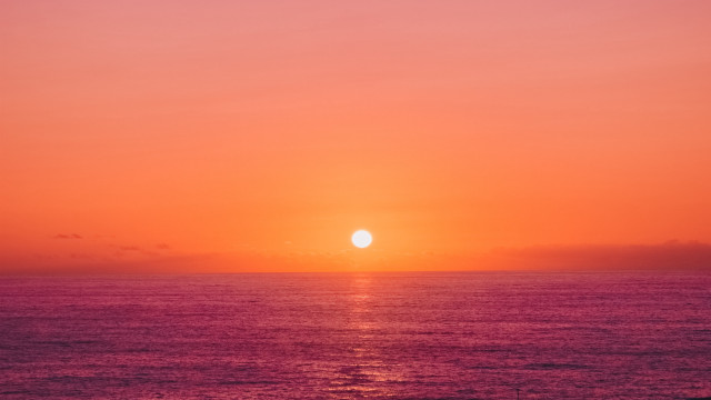 Sunset ocean boat bird moon #3 free wallpaper - medium preview image