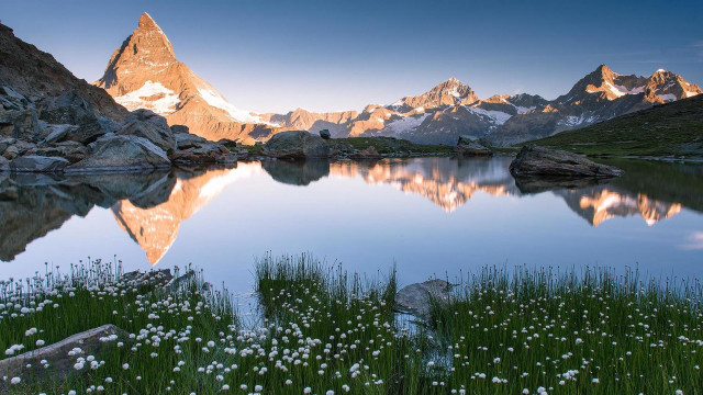 Mountain lake flower grass forest free wallpaper - medium preview image