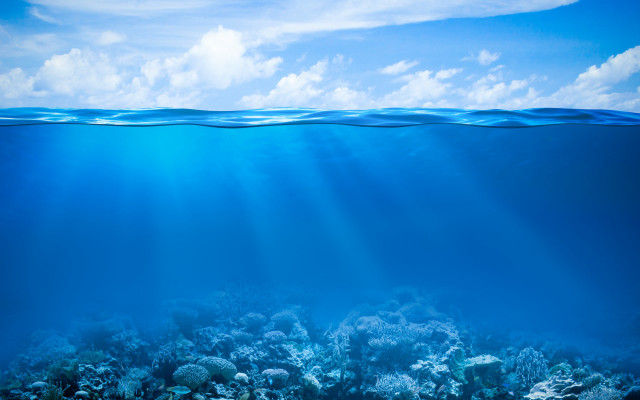 Blue ocean corals fish sky free wallpaper - medium preview image