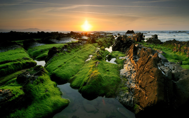 Sunset rocky beach green algae #6 free wallpaper - medium preview image