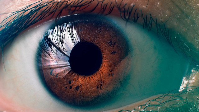 Eye brown iris macro photorealism free wallpaper - medium preview image