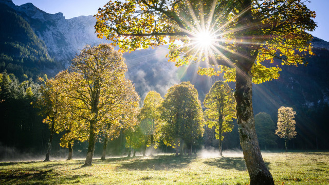 Field trees sunshine mountains fog free wallpaper - medium preview image