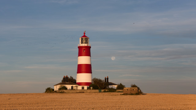 Lighthouse hill birds house sky free wallpaper - medium preview image