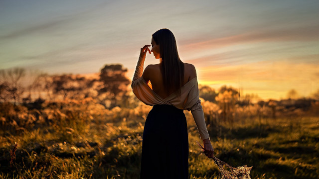 Woman dress field dog sunset free wallpaper - medium preview image