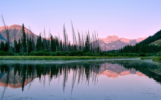 Lake mountains trees pink sky #2 free wallpaper - medium preview image
