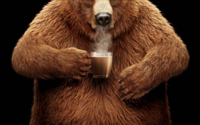Bear coffee steam furry 3d free wallpaper - medium preview image