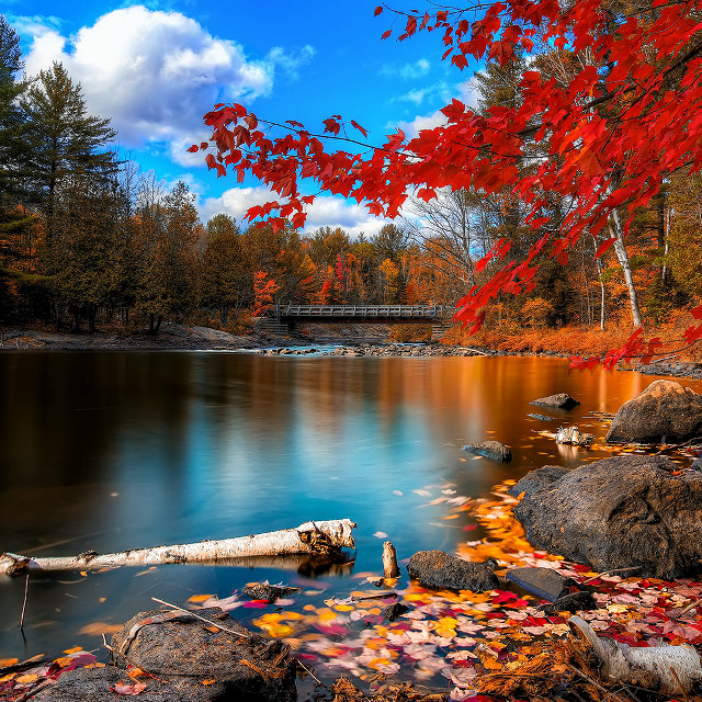 Autumn lake red leaves bridge free wallpaper - medium preview image