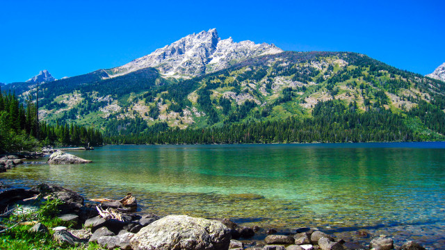 Mountain lake shore rocks forest free wallpaper - medium preview image