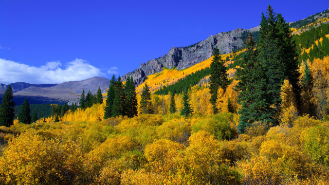 Mountain forest autumn leaves sunset #2 free wallpaper - medium preview image