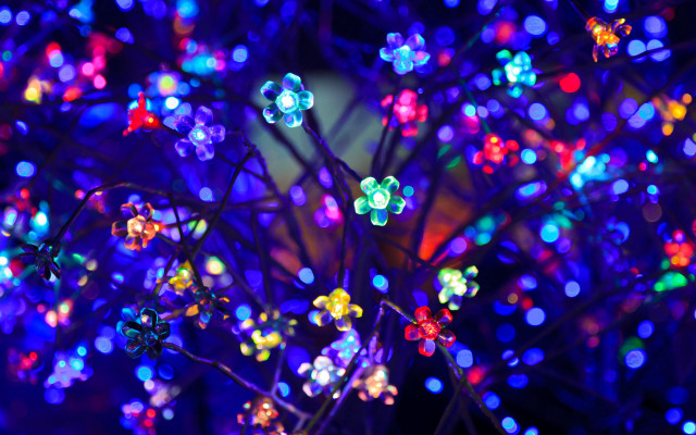Glowing lights tree night macro free wallpaper - medium preview image