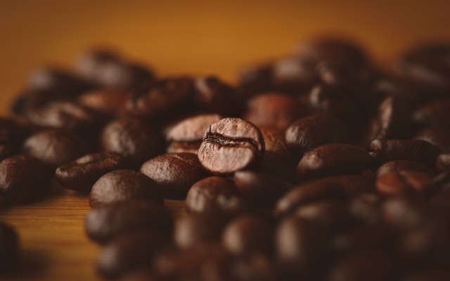 Coffee beans tilt shift bokeh free wallpaper - medium preview image