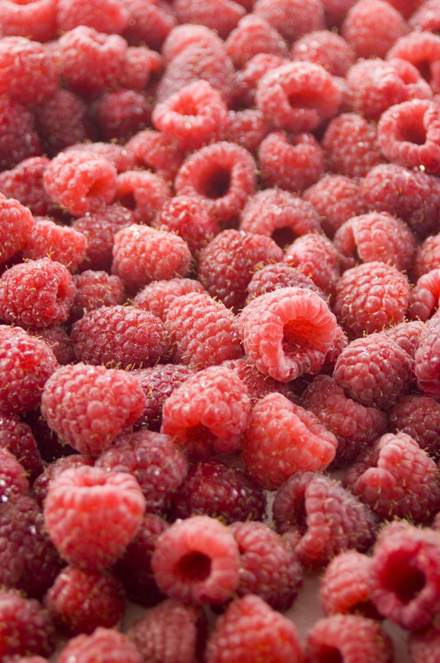 Raspberries closeup water droplets white free wallpaper - medium preview image