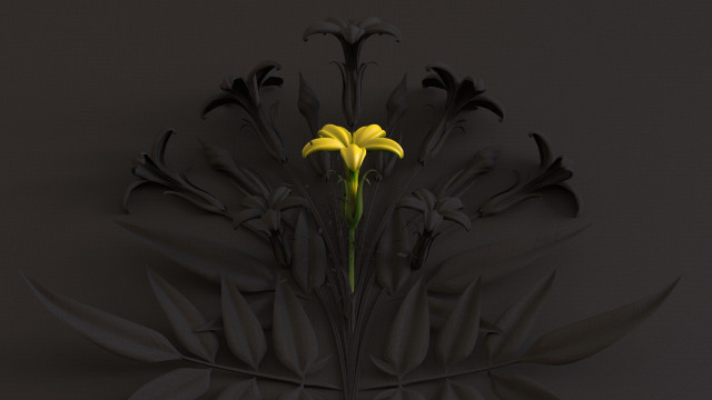 Yellow flower black vase shadow free wallpaper - medium preview image