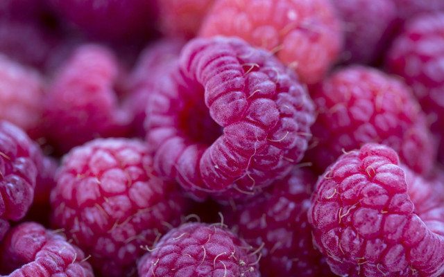 Close up raspberries white dots free wallpaper - medium preview image