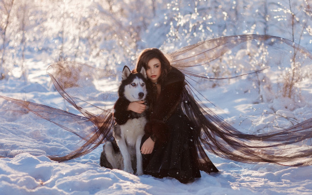 Woman black dress husky snow free wallpaper - medium preview image
