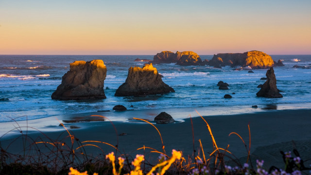 Beach rocks flowers sky ocean free wallpaper - medium preview image