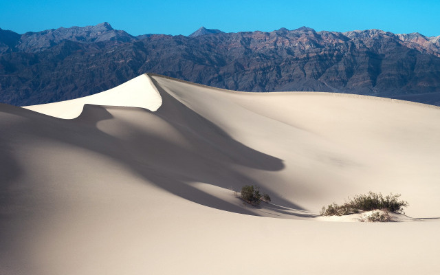Lone tree desert mountains blue #2 free wallpaper - medium preview image