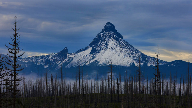 Mountain snow peak forests city free wallpaper - medium preview image