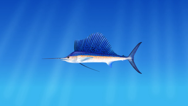 Blue sailfish ocean sunbeams photorealism free wallpaper - medium preview image