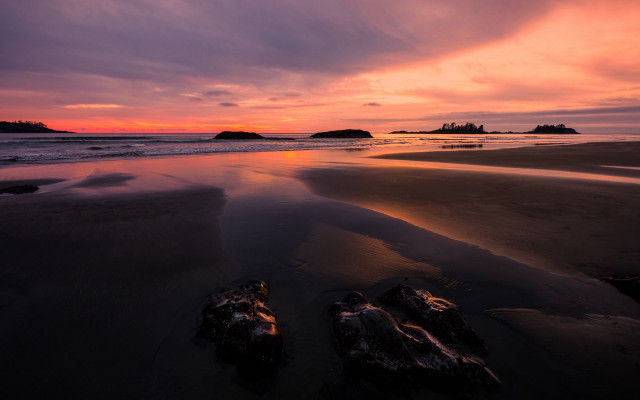 Beach logs sunset clouds dusk free wallpaper - medium preview image