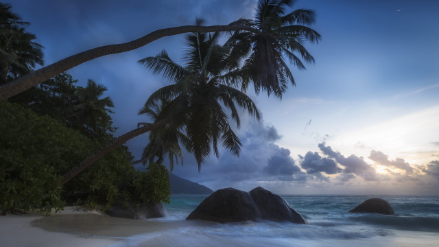 Palm beach waves rock foreground free wallpaper - medium preview image