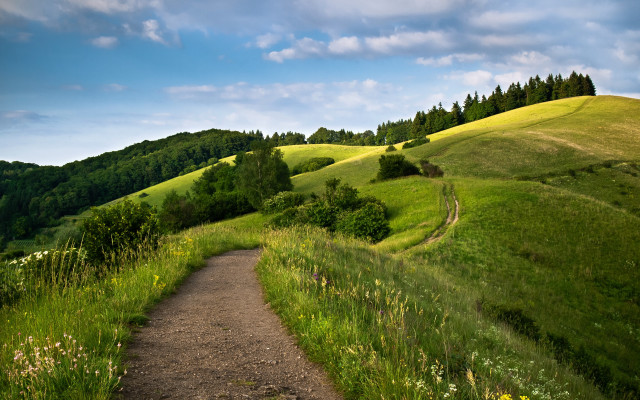 Lush green hillside path nature free wallpaper - medium preview image