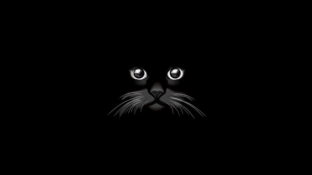 Black cat glowing eyes night #4 free wallpaper - medium preview image