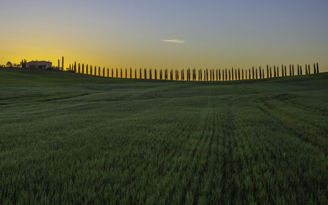 Field grass trees sunset house free wallpaper - medium preview image