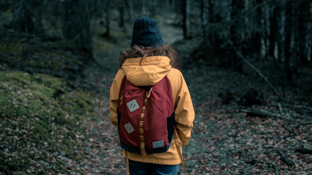 Person backpack woods trail liminal free wallpaper - medium preview image