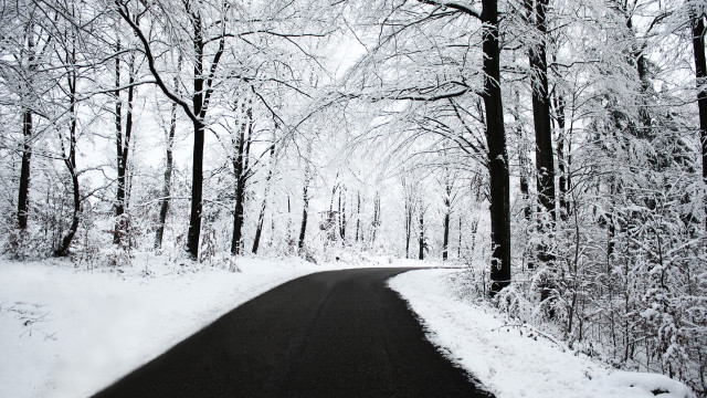 Snowy road forest trees snow free wallpaper - medium preview image