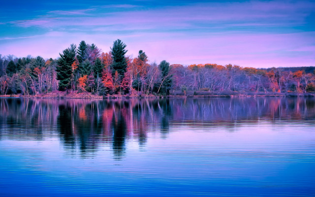 Lake forest purple sky city free wallpaper - medium preview image