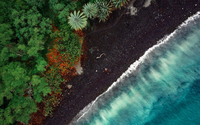 Black sand beach green trees free wallpaper - medium preview image