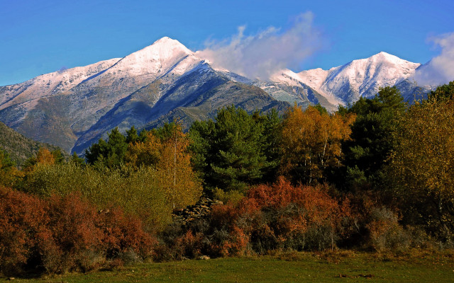 Mountain range snow trees blue #3 free wallpaper - medium preview image