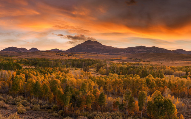 Sunset mountains trees cloudy sky free wallpaper - medium preview image
