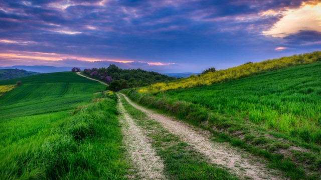 Dirt road green field cloudy #15 free wallpaper - medium preview image