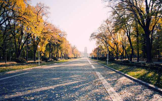 Autumn road trees street sign free wallpaper - medium preview image
