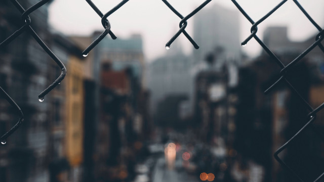 Wet city street rain fence free wallpaper - medium preview image