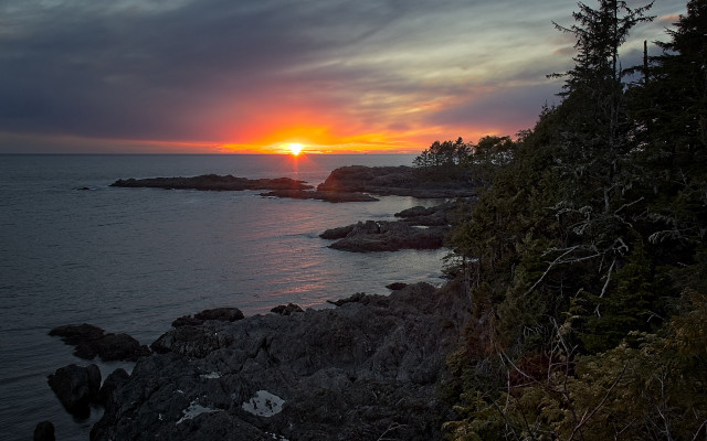 Sunset rocky shore trees water free wallpaper - medium preview image