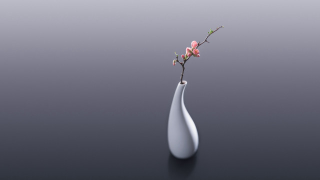 White vase flower minimalism 3d free wallpaper - medium preview image