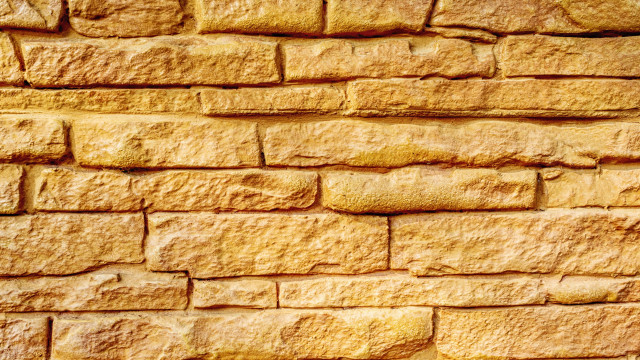 Yellow brick wall cat matte free wallpaper - medium preview image