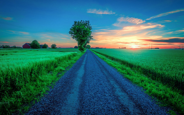 Dirt road field tree sunset free wallpaper - medium preview image