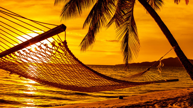 Hammock palm beach sunset dusk free wallpaper - medium preview image