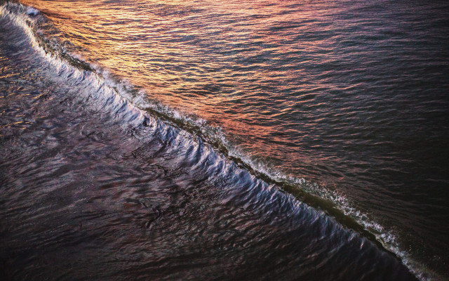 Wave sunset ocean nature forest free wallpaper - medium preview image