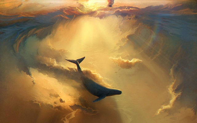 Whale ocean bird sky dusk free wallpaper - medium preview image